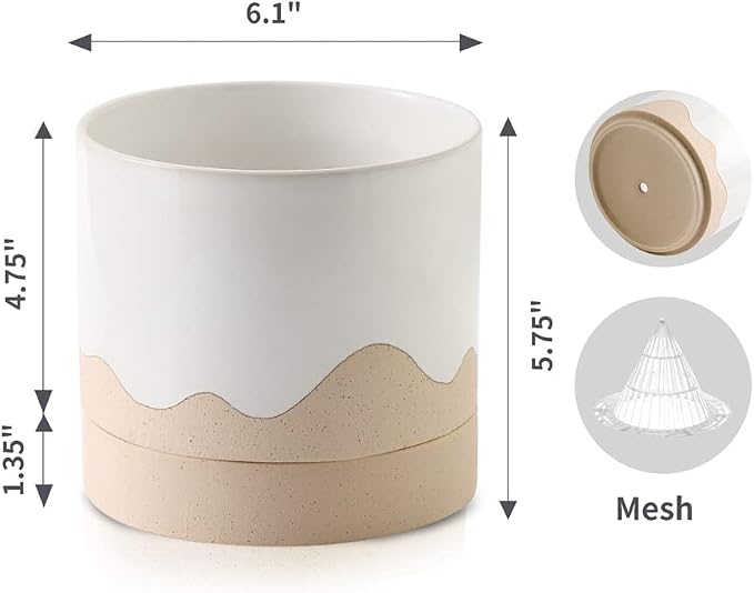 Nihow Ceramic Plant Pot: 6 Inch Planter - Image 2