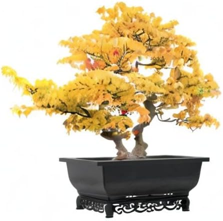 Planter Set: 2-Pack Recycled Plastic Rectangular Bonsai Pots, 14 Inch, Brown