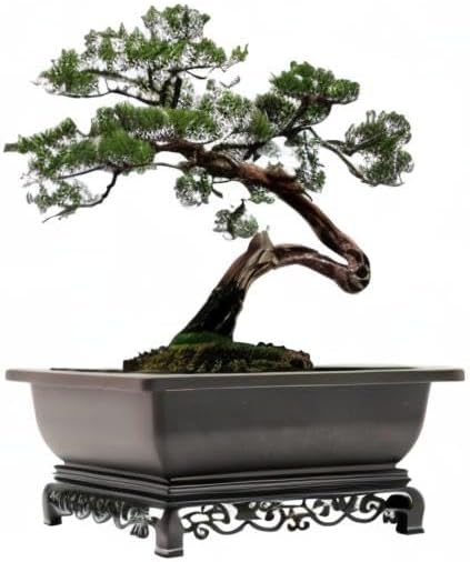 Planters for Bonsai, Brown Recycled Plastic, 2-Pack with Trays
