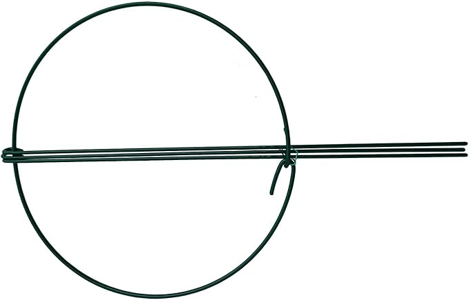 Plant Support Cages 10 Pack, 10-Inch Green Steel Rings, 16-Inch Legs