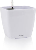 Dexceder 11x10 Self Watering Planter Indoor Outdoor, Inner Mat Design, by Dexceder