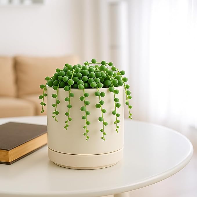 Planters, Set of 4 Small Round Ceramic Pots in Oatmeal with Saucers