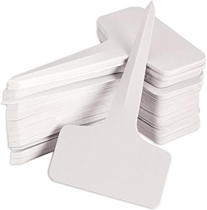KINGLAKE 100 Pcs 6 x10cm Plastic Plant T-Type Tags Nursery Garden Labels by KINGLAKE