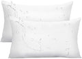 Ashler Outdoor Pillow Inserts, 12x20 Waterproof Throw Pillows Pack of 2 by AshlerHomeDeco
