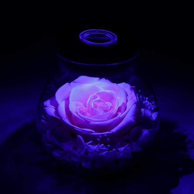 Preserved Roses in Glass with LED Light, Pink, 4.3 Inch