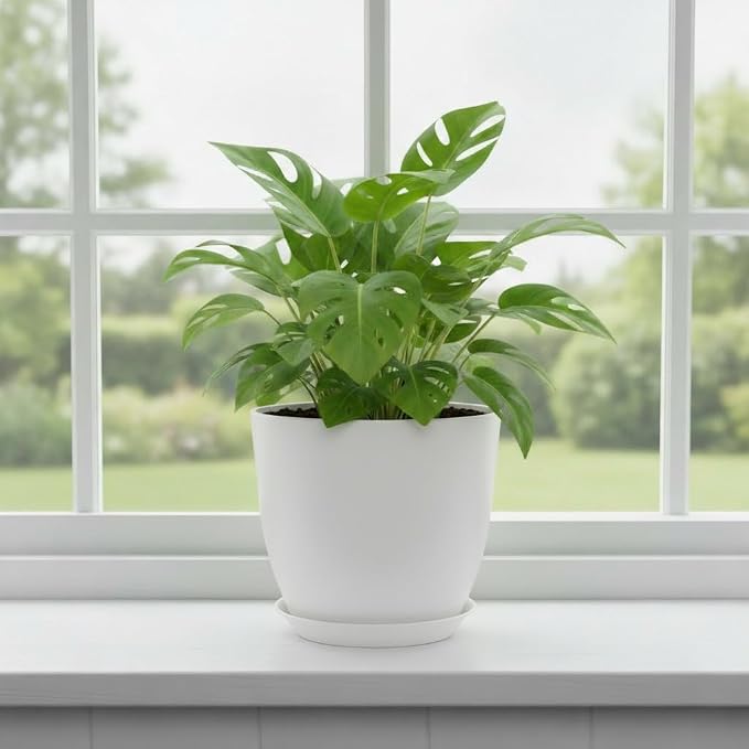 Plant Pots 8 Inch Set of 6, Flower Pots - Image 6
