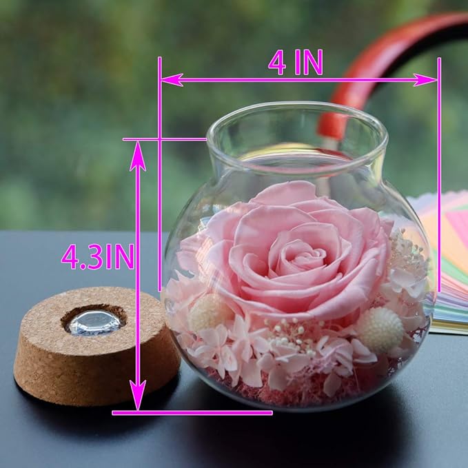 Preserved Roses in Glass with LED Light, Pink, 4.3 Inch