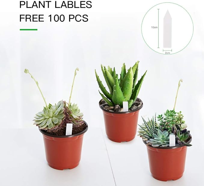 JERIA 100-Pack 6 Inch Plastic Nursery Pots Come - Image 3