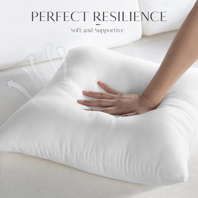 Ashler Outdoor Pillow Inserts, 18x18 Waterproof Throw Pillows Pack of 2 - Image 6