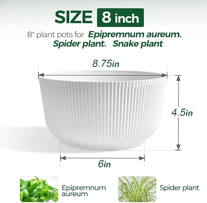 T4U 8 Inch Self Watering Pots for Indoor Plants, 2 Pack Plant Pots, Durable - Image 2