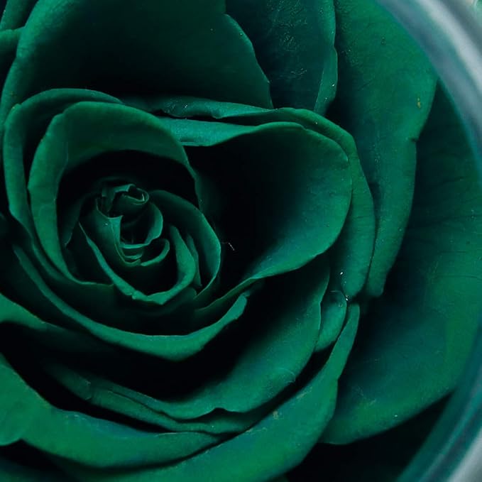 Artificial Preserved Rose Bottle with Color-Changing LED Light, Green