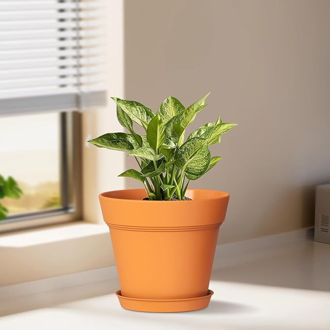 5 Inch Plastic Plant Pots with Drainage Holes and Trays – 6 Pack Small Nursery - Image 2