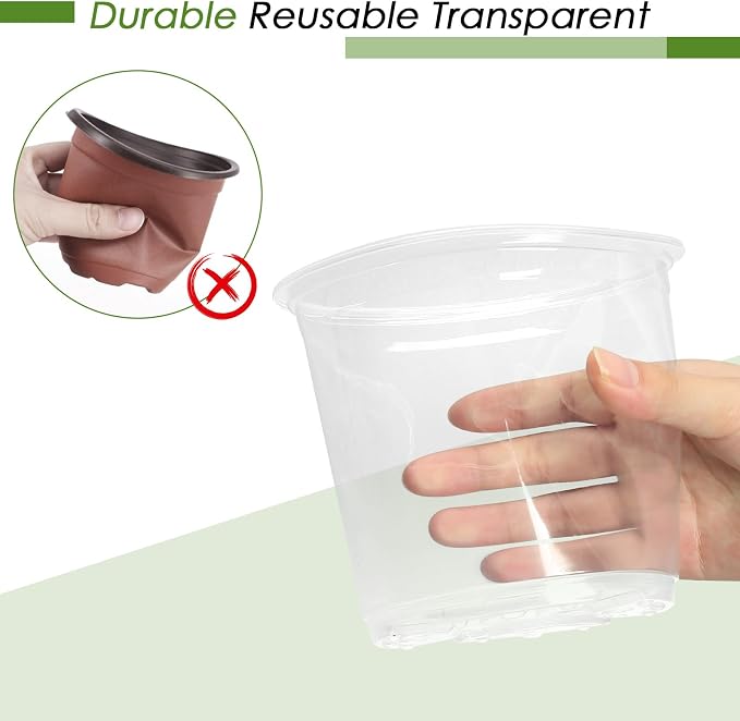 7 Inch Clear Nursery Pots for Plants - Image 5