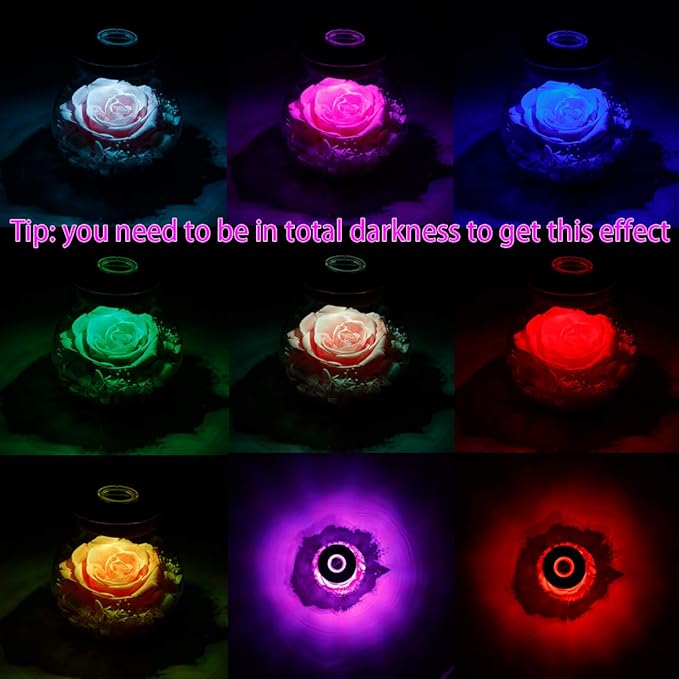 Preserved Roses in Glass with LED Light, Pink, 4.3 Inch