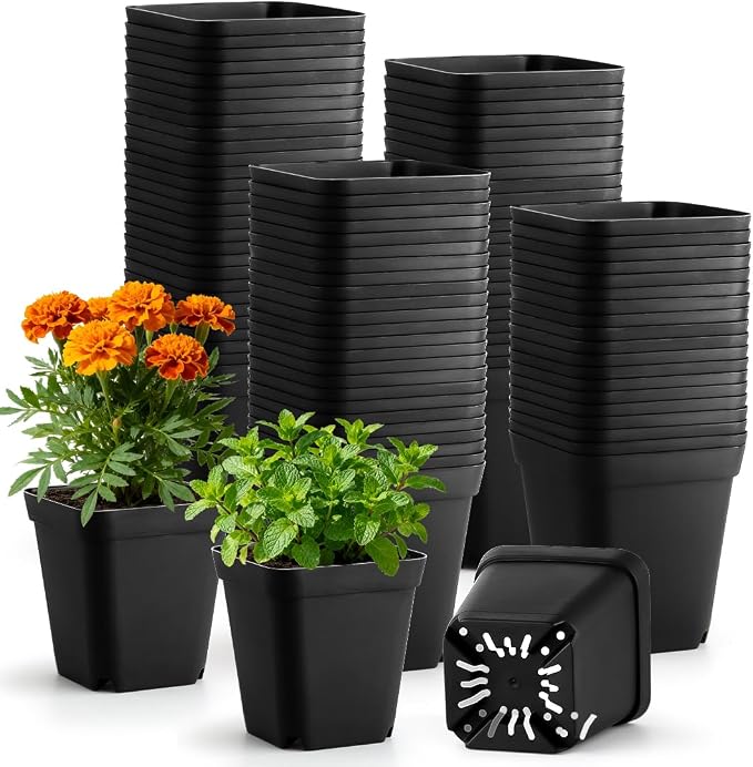 BTPLASTIK Square Nursery Pots 2.7 Inch 180 Pcs, Plastic Small Flower Pots by BTPLASTIK