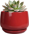 G EPGardening Ceramic Pot for Plants by GEPGardening