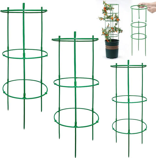 12 Packs Plant Support Stakes, Plant Support by Unknown