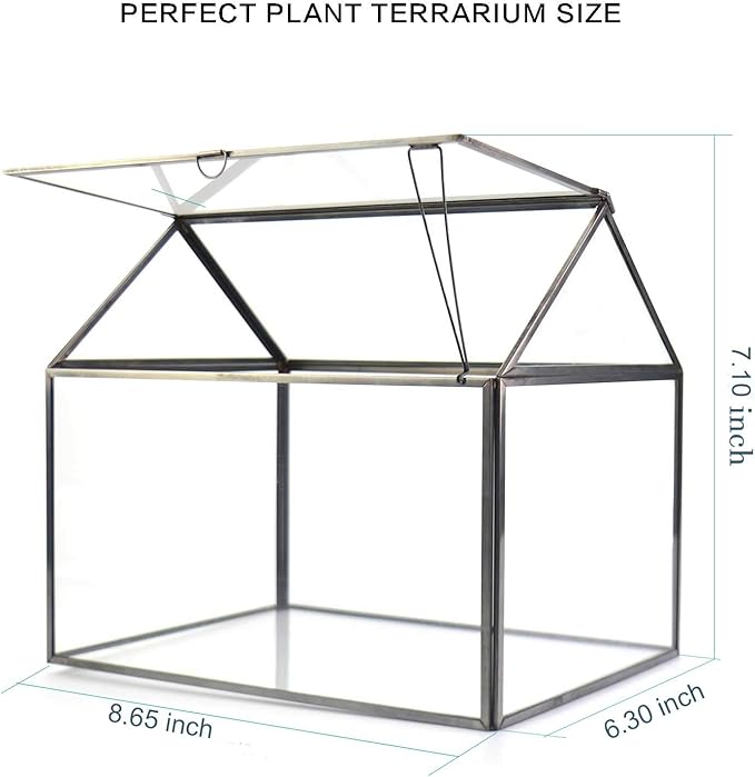 Terrarium, Large Black House-Shaped Glass Planter with Swing Lid
