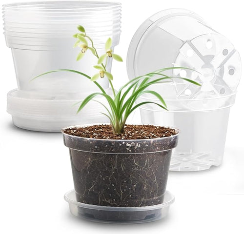 12 Pack 8 Inch Clear Plant Pots by RooTrimmer
