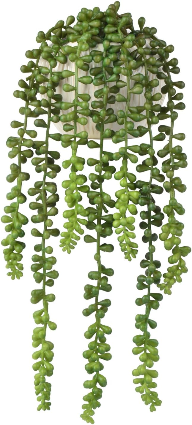 Artificial Plant String of Pearls, Green Plastic, 15 Inch Tall