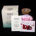 Preserved Roses in Glass with LED Light, Pink, 4.3 Inch