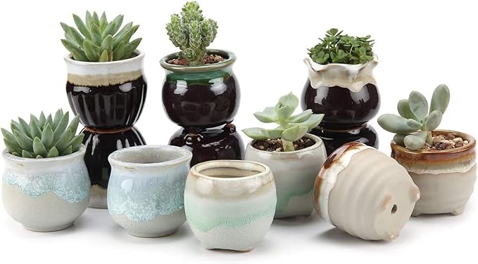 Ceramic Plant Pots, Set of 12 Glazed Mini Planters with Drainage Holes