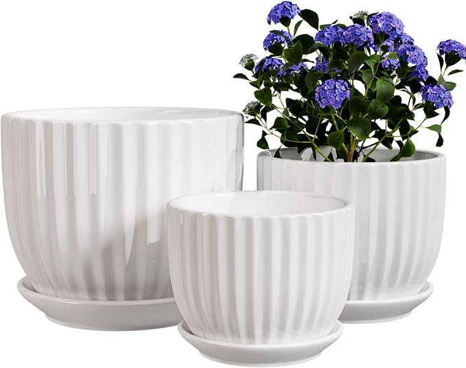 Ton Sin White Plant Pots Set of 3, Indoor Ceramic Flower Pot by TonSin