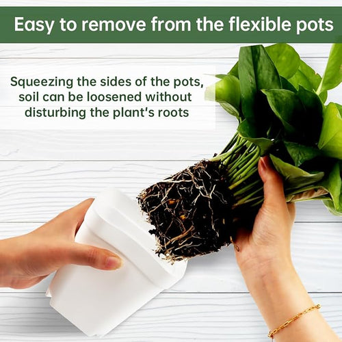 120 Pcs Nursery Pots 3.5 Inch, Plastic Seed Starting Pot - Image 2