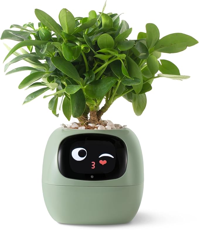 Smart Planter Pot with App Control, Green Plastic, Modern Style