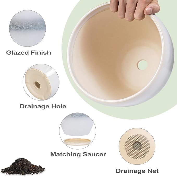 Ceramic Pots for Plants - Image 6