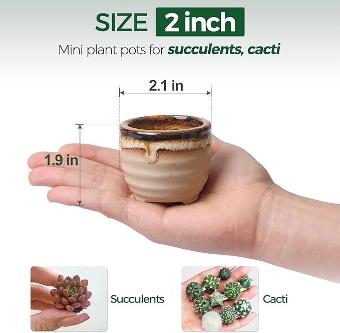Ceramic Plant Pots, Set of 12 Glazed Mini Planters with Drainage Holes