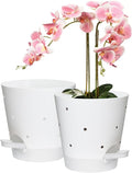 Orchid Pots with Holes, 6 Inch Self Watering Orchid Pot 2 Pack Plastic Plant by Vanslogreen