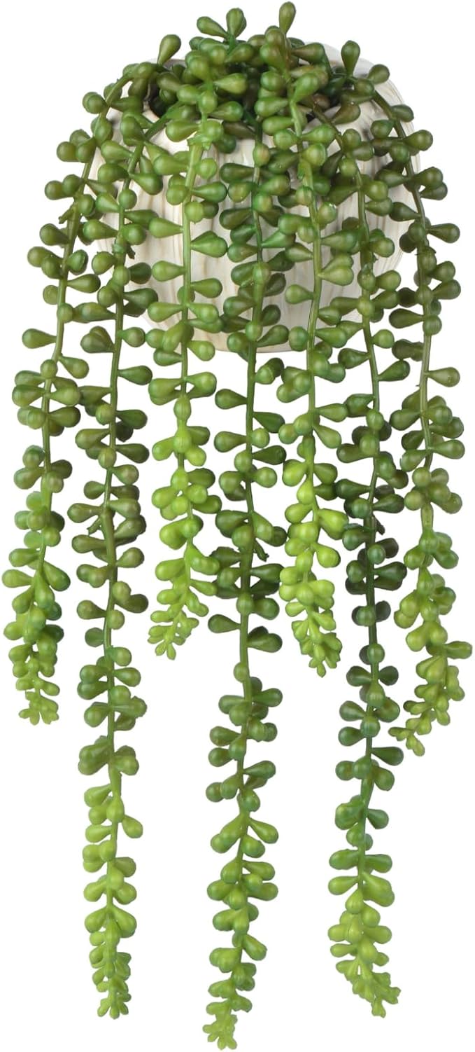 Artificial Plant String of Pearls, Green Plastic, 15 Inch Tall