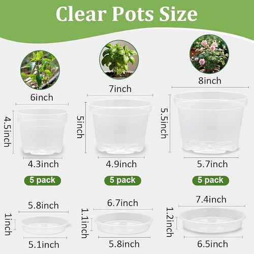 15 Pack 8/7/6 Inch Clear Nursery Pots - Image 2