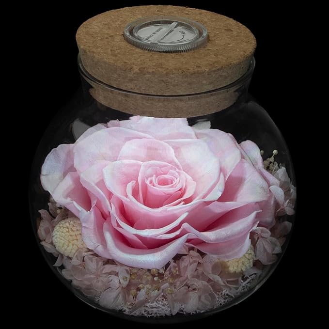 Preserved Roses in Glass with LED Light, Pink, 4.3 Inch