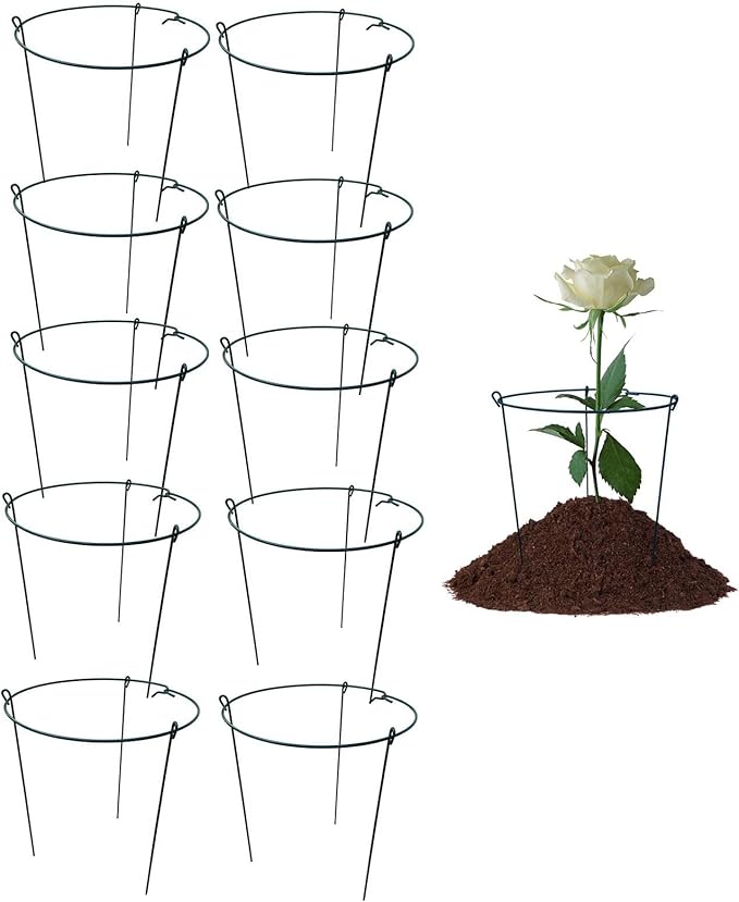 Plant Cages Supports Set of 5 Steel Peony Rings 14 x 24 Inch