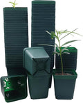 Square Nursery Seedling Pot 3.5 Inches 90 Pcs, Small Nursery Pot Plastic Thick by RooTrimmer