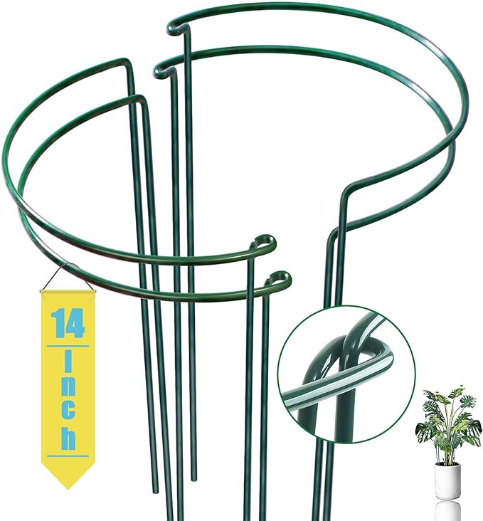 Snake Plant Support Stake by WooWellGoGoGoProducts