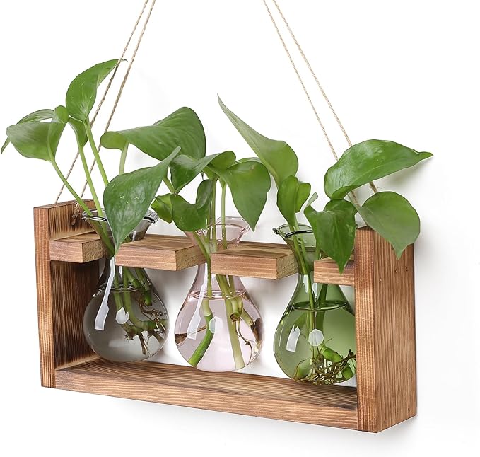 Terrarium Propagation Station with 3 Bulb Glass Bottles and Wooden Stand