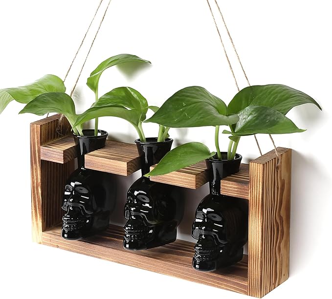 Terrarium Skull Propagation Set, 3 Black Borosilicate Vases with Wood Stand