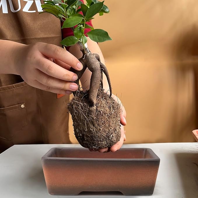 Planters: 2 Pack Rectangular Zisha Clay Pots with Drainage Holes