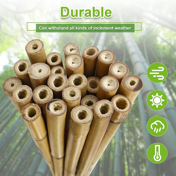 10pcs 1" D Thicker Heavy Duty Bamboo Stakes, 8FT Plant Stakes, Natural Garden - Image 4