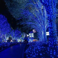 String Lights 72 ft Solar Powered Blue LED, 8 Modes, IP65 Waterproof