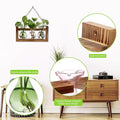Terrarium Propagation Station with 3 Bulb Glass Bottles and Wooden Stand