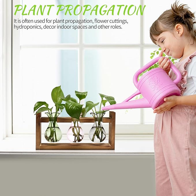 Terrarium Propagation Station with 3 Bulb Glass Bottles and Wooden Stand