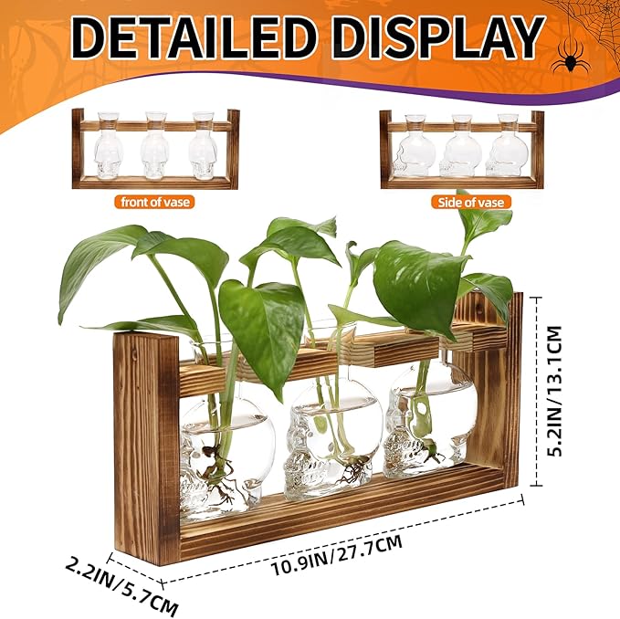 Terrarium Propagation Station Set of 3 Skull-Shaped Glass Vases