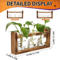 Terrarium Propagation Station Set of 3 Skull-Shaped Glass Vases