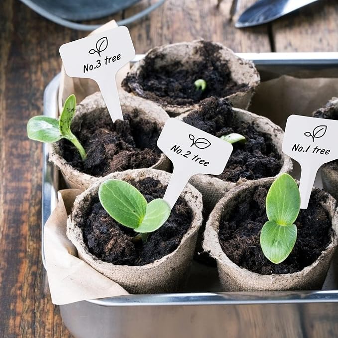KINGLAKE 100 Pcs 6 x10cm Plastic Plant T-Type Tags Nursery Garden Labels - Image 4