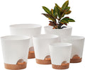 FaithLand 6-Pack White Self Watering Planter Pots by FaithLand