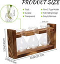 Terrarium Propagation Station with Three Glass Bulb Bottles and Wooden Stand
